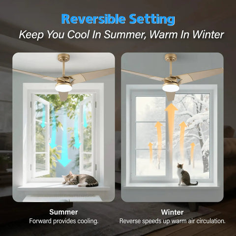 52 Inch Outdoor Wood Ceiling Fan With Lights And Remote, reversible feature for all-season comfort, shown in summer and winter settings