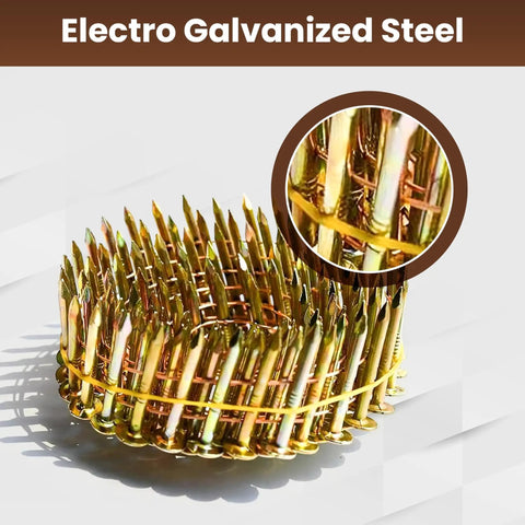 Heavy Duty Coil Roofing Nails 1 1/4 Inch Electro Galvanized Smooth Shank 15 Degree Spiral Fasteners No Sweat Nail Gun Feeding 3600 Count close-up.