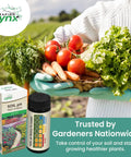 Soil PH Test Strips Kit 3 To 9 Range With 100 Quick And Easy Peasy Tests with fresh garden vegetables and product packaging.
