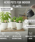 Awesome Indoor Garden Kit With Drainage Pots Watering Can And Tools Ideal Windowsill Planter Set For Fresh Herbs And Microgreens