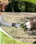 Person wearing long gardening gloves with cut resistant sleeves feeding a donkey outdoors.