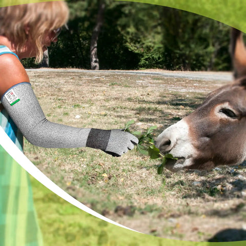 Person wearing long gardening gloves with cut resistant sleeves feeding a donkey outdoors.