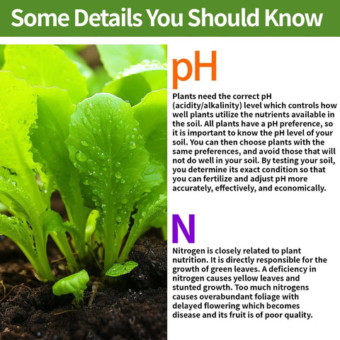 Infographic explaining pH and nitrogen importance for plants, part of Two In One Soil pH And Nitrogen Test Kit With Test Tubes For Garden.