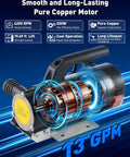 Pro Grade 12V 200W Diesel And Kerosene Electric Fuel Transfer Pump Kit showcasing 4200 RPM copper motor.