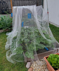 Ultra Fine Garden Netting 10 By 50 Feet For Raised Beds And All Veggies Mosquito And Pest Barrier Mesh installed over plants.