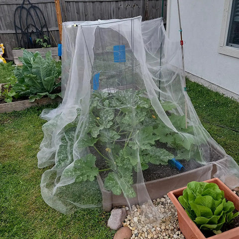 Ultra Fine Garden Netting 10 By 50 Feet For Raised Beds And All Veggies Mosquito And Pest Barrier Mesh installed over plants.