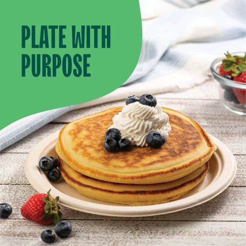 Pancakes with whipped cream and blueberries on Heavy Duty 9 Inch Compostable Paper Plates 125 Pack Made From Sugarcane Bagasse Biodegradable