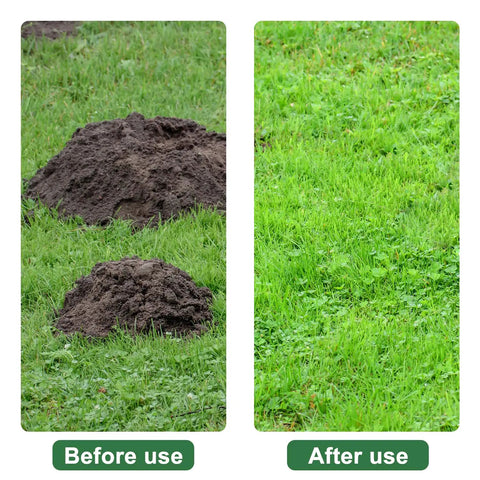 Before and after using 72-Inch Lawn Leveling Rake With Stainless Steel Handle, Heavy Duty Yard Leveler Tool, uneven and smooth grass