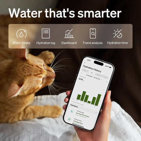 Person holding phone with hydration data, orange cat, Cool Upgrade Cat Water Fountain With Stainless Steel Tray Dockstream 2 Indoor 3L