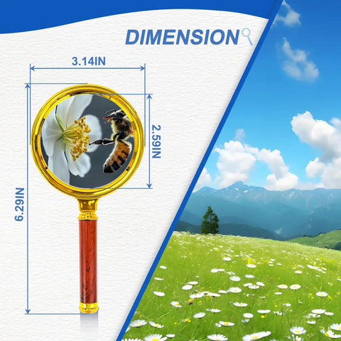 10x Handheld Magnifier For Reading And Hobby Science Projects Great For Kids And Seniors 80mm Plastic Frame With Gold Plated Finish