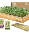 Self Watering Microgreens Kit For Indoor Growing with broccoli and salad mix, bamboo tray, grow mat, and organic seed packs.