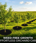 13 Piece Tree Ring Mulch Mat Set For Garden Root Barrier Weed Control Non Woven Black Landscape Rings around orchard trees