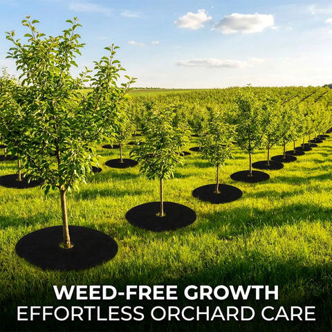 13 Piece Tree Ring Mulch Mat Set For Garden Root Barrier Weed Control Non Woven Black Landscape Rings around orchard trees