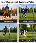 Multifunctional training with Six 6-Foot Adjustable Pole Bending Poles for Horses and Pups in various sports settings
