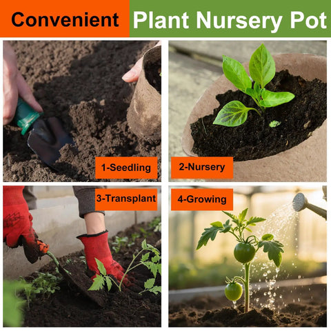 Bulk 130 Pack Organic Peat Pots 3 Inch Top Opening Plant Starter Pots With stages from seedling to growing plant
