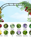 7.9 Foot Metal Garden Arch Trellis For Outdoor Climbing Plants, Large Wedding Ceremony Arbor with climbing foliage