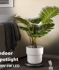 Two Pack LED Indoor Up Lights 3W Spotlight with 3000K Warm White Glow for plants and artwork near sofa with 120V plug.