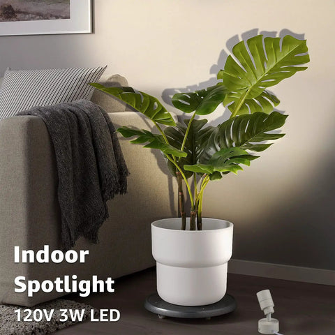 Two Pack LED Indoor Up Lights 3W Spotlight with 3000K Warm White Glow for plants and artwork near sofa with 120V plug.