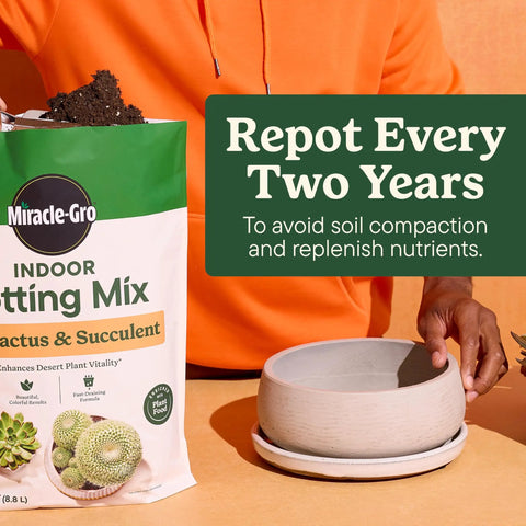 Top Shelf Indoor Potting Mix For Cactus And Succulents Featuring Sweet Roots Development With Rapid Drainage Sand Perlite And Peat Moss Formula Plus Loaded Plant Food For Ace Houseplants In 8 Quart Packs being poured into a ceramic pot.