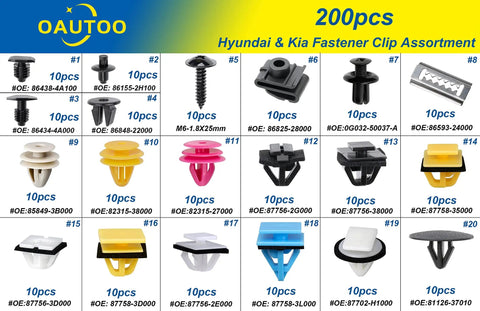 Beefy 200 Piece Hyundai And Kia Retainer Clip Kit assortment showing 200 fasteners in various sizes and shapes for body repair.