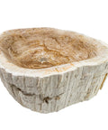 Next Level Petrified Fossil Wood Vessel Sink Featuring Irregular Natural Stone Silhouette And Polished Interior For Above Counter Vanity Upgrade.