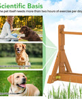 Dog Agility Set With Wooden Jumps And Hurdles, Backyard Obstacle Course Training Gear, fir wood frame, enhances pet exercise