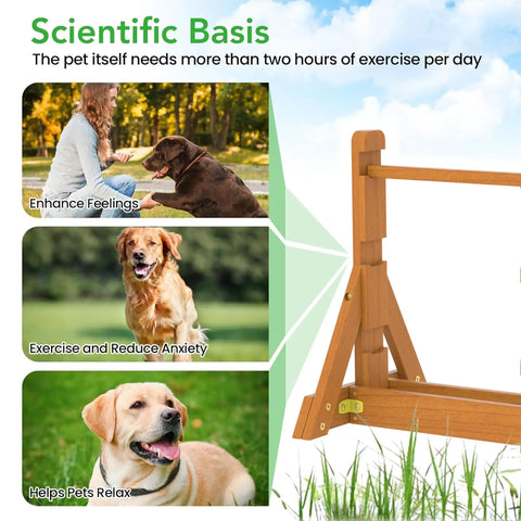 Dog Agility Set With Wooden Jumps And Hurdles, Backyard Obstacle Course Training Gear, fir wood frame, enhances pet exercise