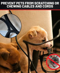 Puppy near protected cables with 1 Inch Inner Diameter 10 Foot Split Braided Wire Cable Sleeve Self Wrap Loom, prevents chewing.