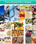 Freeze-drying effect display featuring processed fruits, vegetables, and herbs using the Heavy Duty Four Tray 110V Vacuum Freeze Dryer Machine.