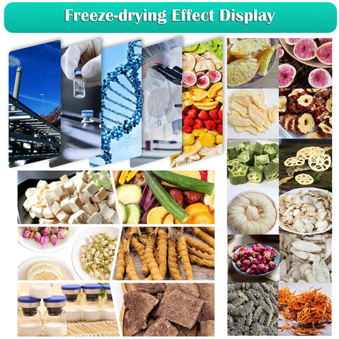 Freeze-drying effect display featuring processed fruits, vegetables, and herbs using the Heavy Duty Four Tray 110V Vacuum Freeze Dryer Machine.