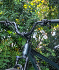 Wide 780mm mountain bike handlebar with 31.8 clamp and 25mm rise for gnarly trail rides, aluminum alloy riser bar with non-slip grip
