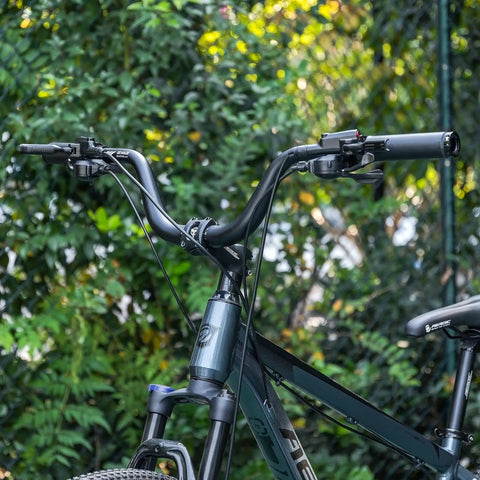 Wide 780mm mountain bike handlebar with 31.8 clamp and 25mm rise for gnarly trail rides, aluminum alloy riser bar with non-slip grip
