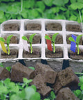 Seed Starter Plugs Kit With Rapid Root Sponges And 60 Colorful Labels For Organic Plant Starters And Hydroponics in tray