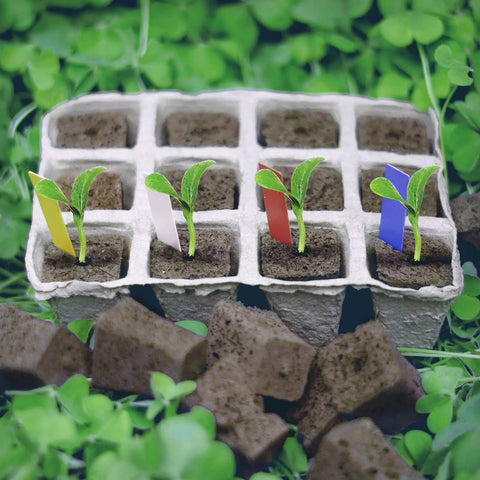 Seed Starter Plugs Kit With Rapid Root Sponges And 60 Colorful Labels For Organic Plant Starters And Hydroponics in tray