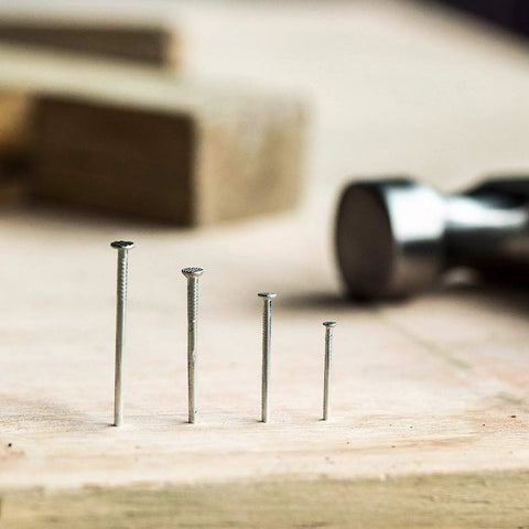 Massive Stash Of 1200 Top Shelf Silver Nails In Four Practical Sizes Perfect For Hanging Wall Art Patching Drywall And Knocking Out Quick DIY Repairs Around The House Or Workshop Any Day