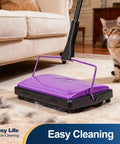 Lightweight Manual Carpet Sweeper And Rug Cleaner Cruises Across Carpets Without Breakin A Sweat Picks Up Pet Hair And Dust Like A Charm For Quick Daily Cleanup Sessions with cat nearby.