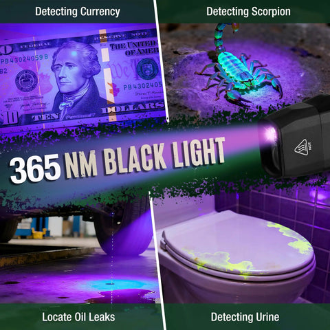 Rechargeable EDC Flat Flashlight 1200 Lumens With Magnetic Base UV And White Light Combo detecting currency, scorpion, oil leaks, urine