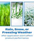 All Season Crabgrass And Grassy Weed Preventer For Lawns Pre Emergent Weed Control in rain, snow, and frost conditions.