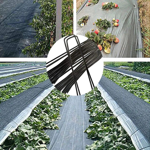 Heavy Duty 4 Inch Black Galvanized Landscape Staples 25 Pack 11 Gauge U Shaped Ground Stakes Anti Rust for Weed Barrier