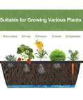 Cross-section of raised garden bed showing roots of succulents, fruits, flowers, and herbs suitable for Five Tier Vertical Garden Planter For Balcony Or Patio No Bend Ergonomic Design Space Saving Raised Garden Bed For Herbs Flowers And Vegetables Easy Setup Durable Weather Resistant Black.