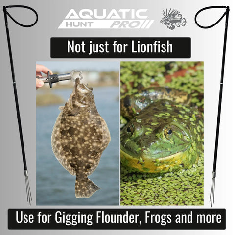 46 Inch Travel Ready Gigging Spear For Lionfish, Frog And Flounder With Heavy Duty 3 Piece Aluminum And Stainless Steel Construction And Replaceable 7 Inch Tip shown with flounder and frog images