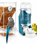 No Sweat Bird Feeder And Water Dispenser Duo For Small Parrots Two Pack with acrylic cups and colorful budgies.