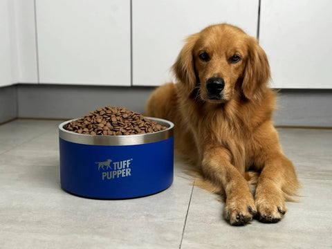 Hella Durable Double Wall Insulated Dog Bowl Made From Premium Stainless Steel Featuring A Slick Non Slip Bottom And Spill Proof Rim Design That Is Dishwasher Ready For Every Sized Pet In Cool Blue with dog lying nearby.