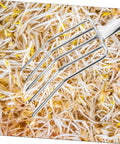 Small Stainless Steel Garden Fork For Ladies, Lightweight Digging Fork For Planting resting on bean sprouts
