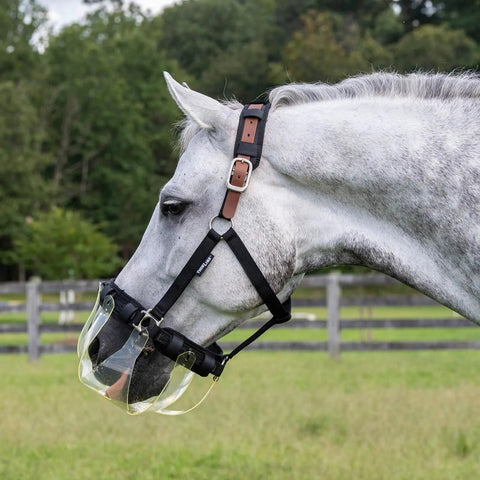 Turnout Halter For Grazing Muzzle Compatibility Safe Comfortable Adjustable Breakaway Horse Halter For Equine Use Cob Size