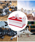 Foldable Plastic Transportation Pigeon Cage For Training And Racing 23.6 Inch Large Box With Three Access Doors And Ventilated Design