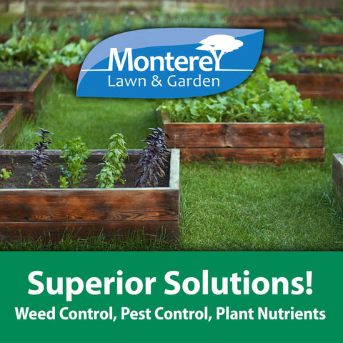 Raised garden beds with variety of plants and Monterey Lawn & Garden logo in a backyard setting.
