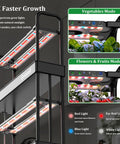 Two-Tier Vertical Hydroponics Garden Kit with 32 pods, dual light modes for herbs and fruits, featuring Growell lights
