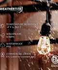 Close-up of a single illuminated bulb from Ambience Pro Outdoor String Lights 24 Foot Commercial Grade, showcasing weather resistance.