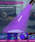 Rechargeable Pen Flashlight With UV And White Light 395nm detecting pet urine stain on carpet with dog nearby